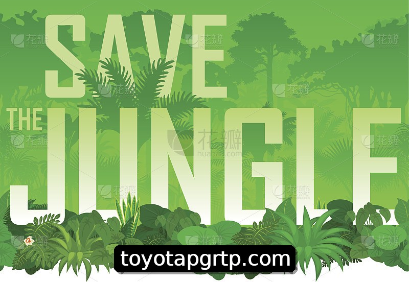 Integração de APIs toyotapg