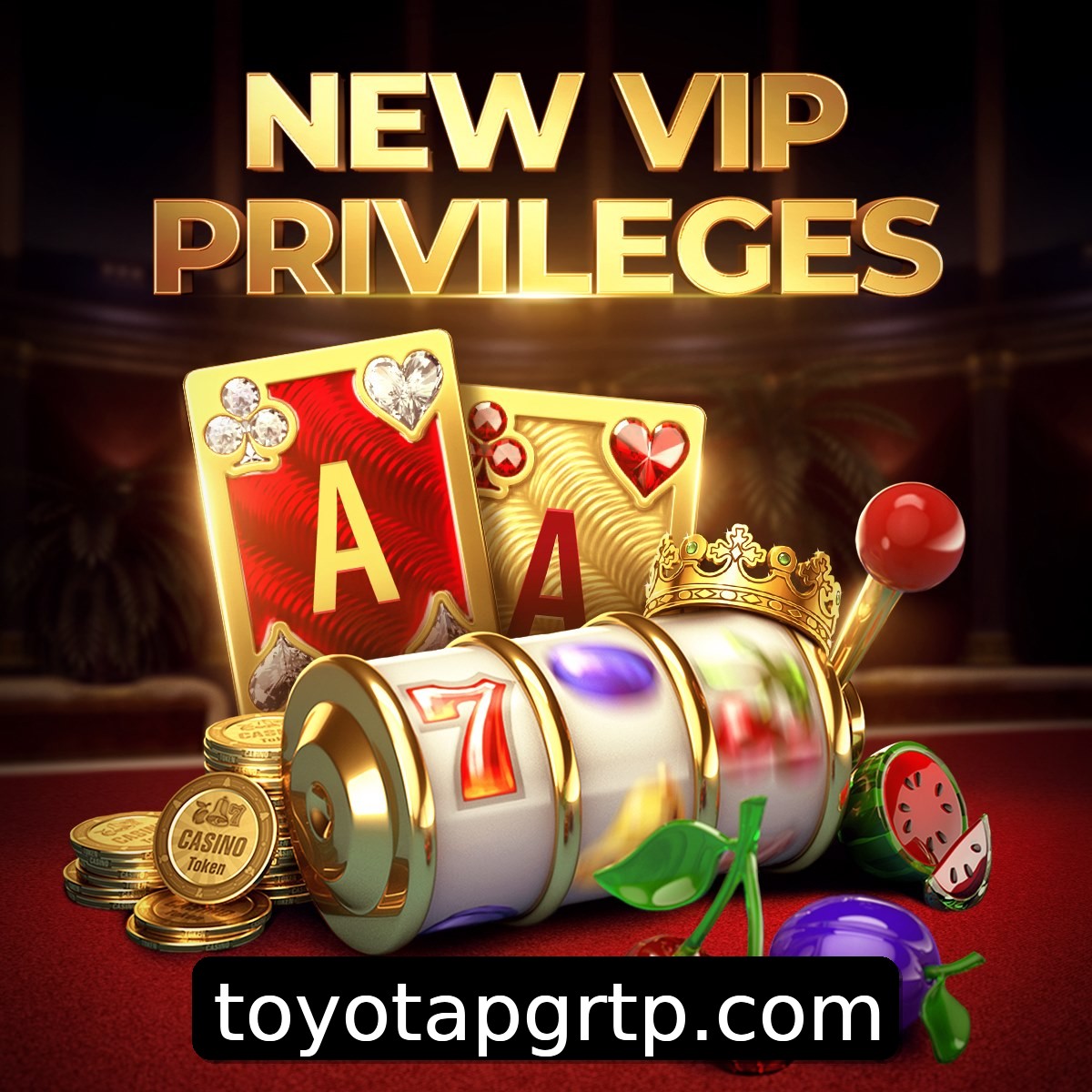 Programa VIP toyotapg